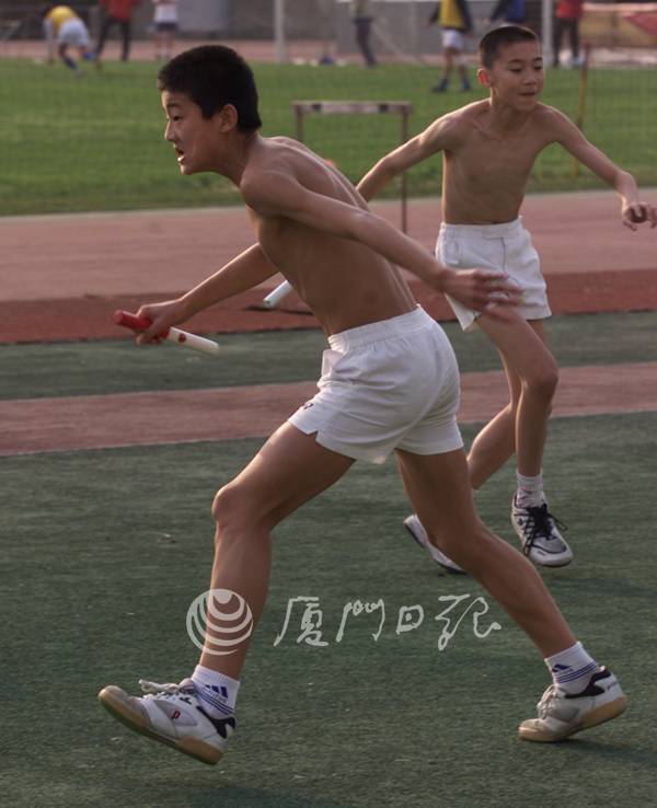 独家：谌龙携手姚迪战意甲的简单介绍